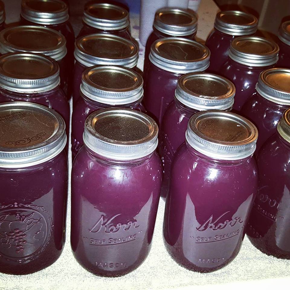 food-preservation-methods